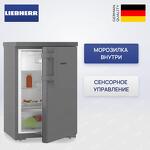Превью картинка Холодильник с одной дверцей Liebherr Rdgd 1401 #1